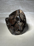 Druzy Septarian Nodule Large