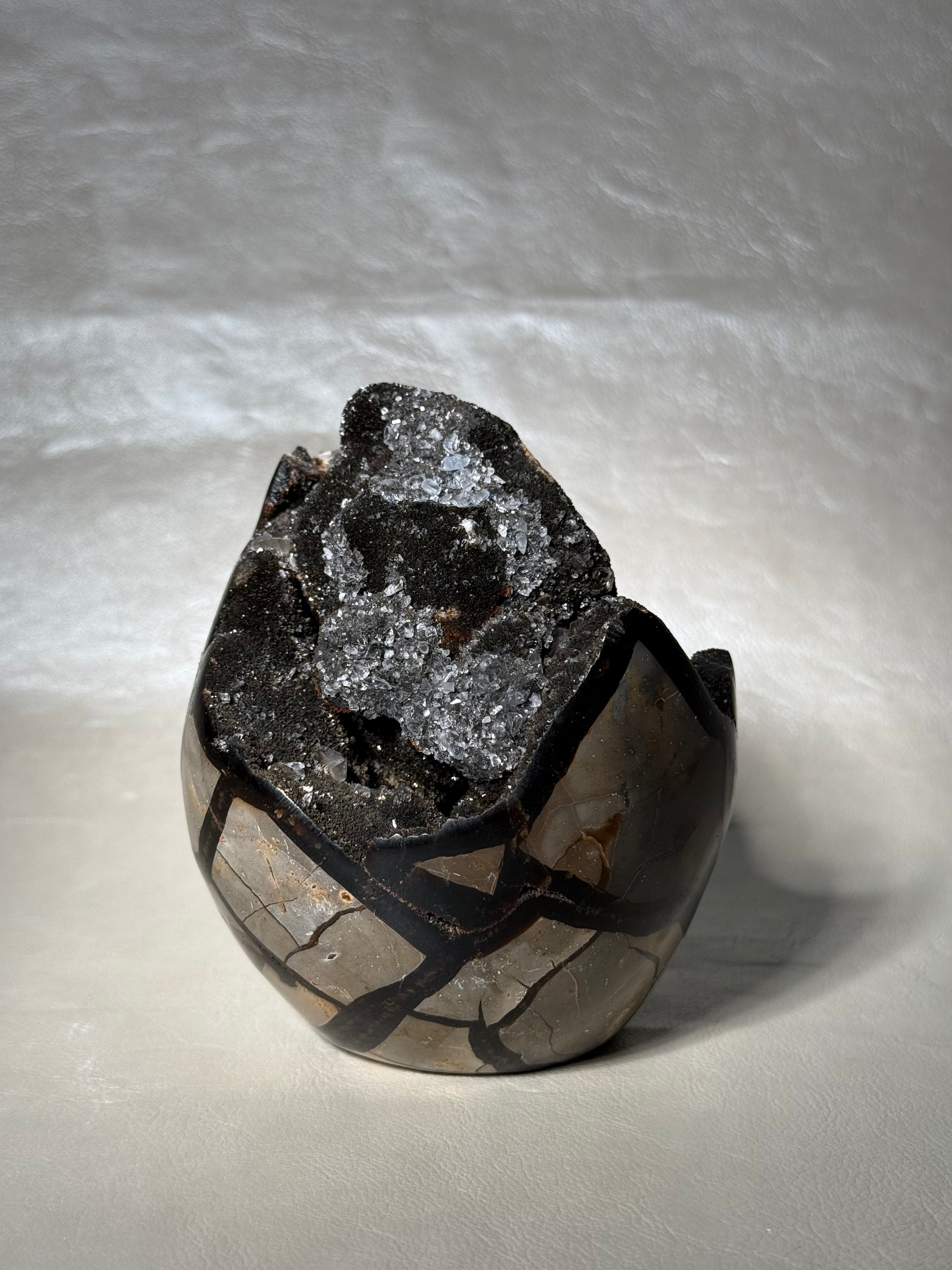 Druzy Septarian Nodule Medium