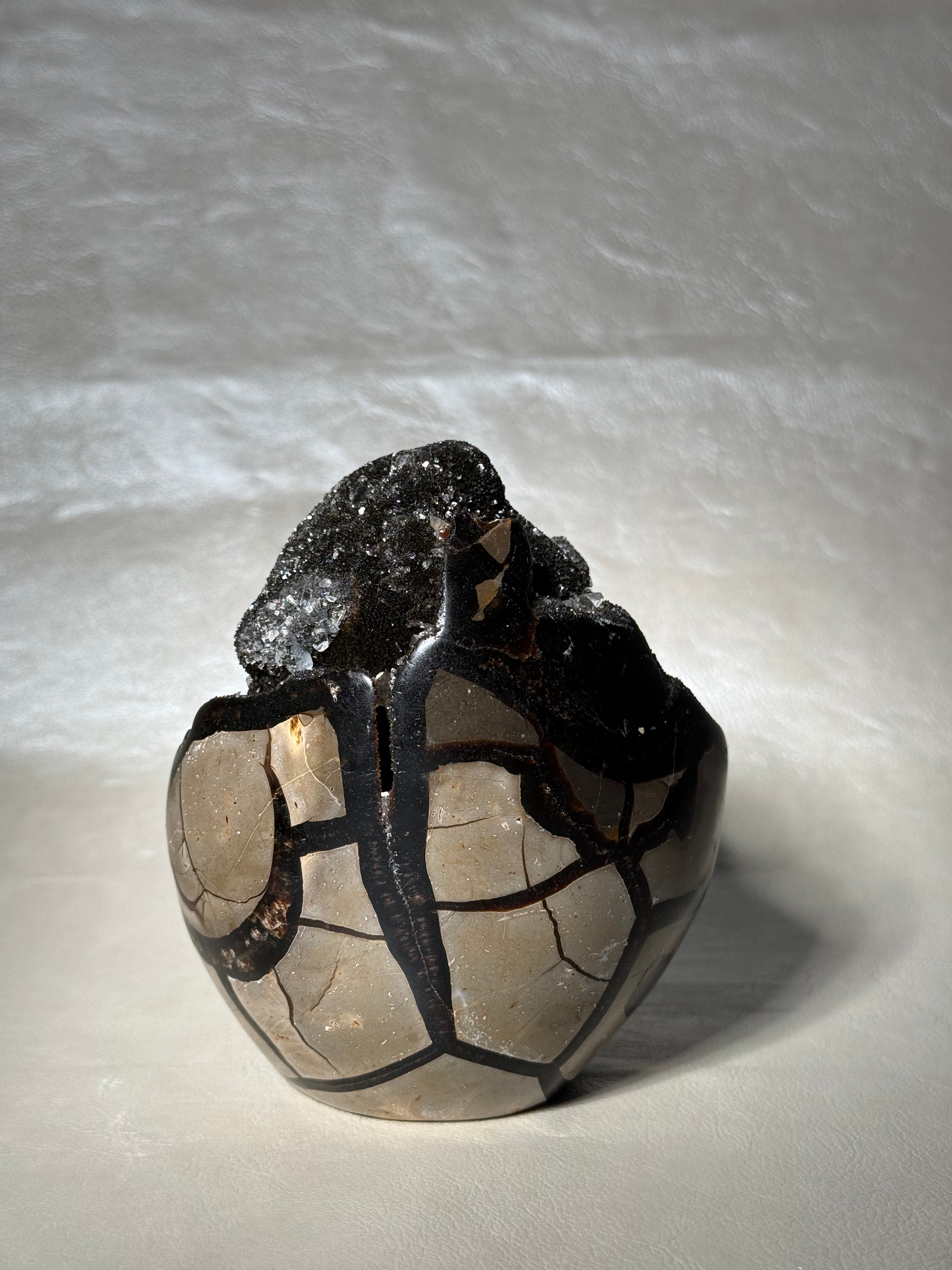 Druzy Septarian Nodule Medium