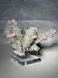 Green Diamond Apophyllite Stalactite