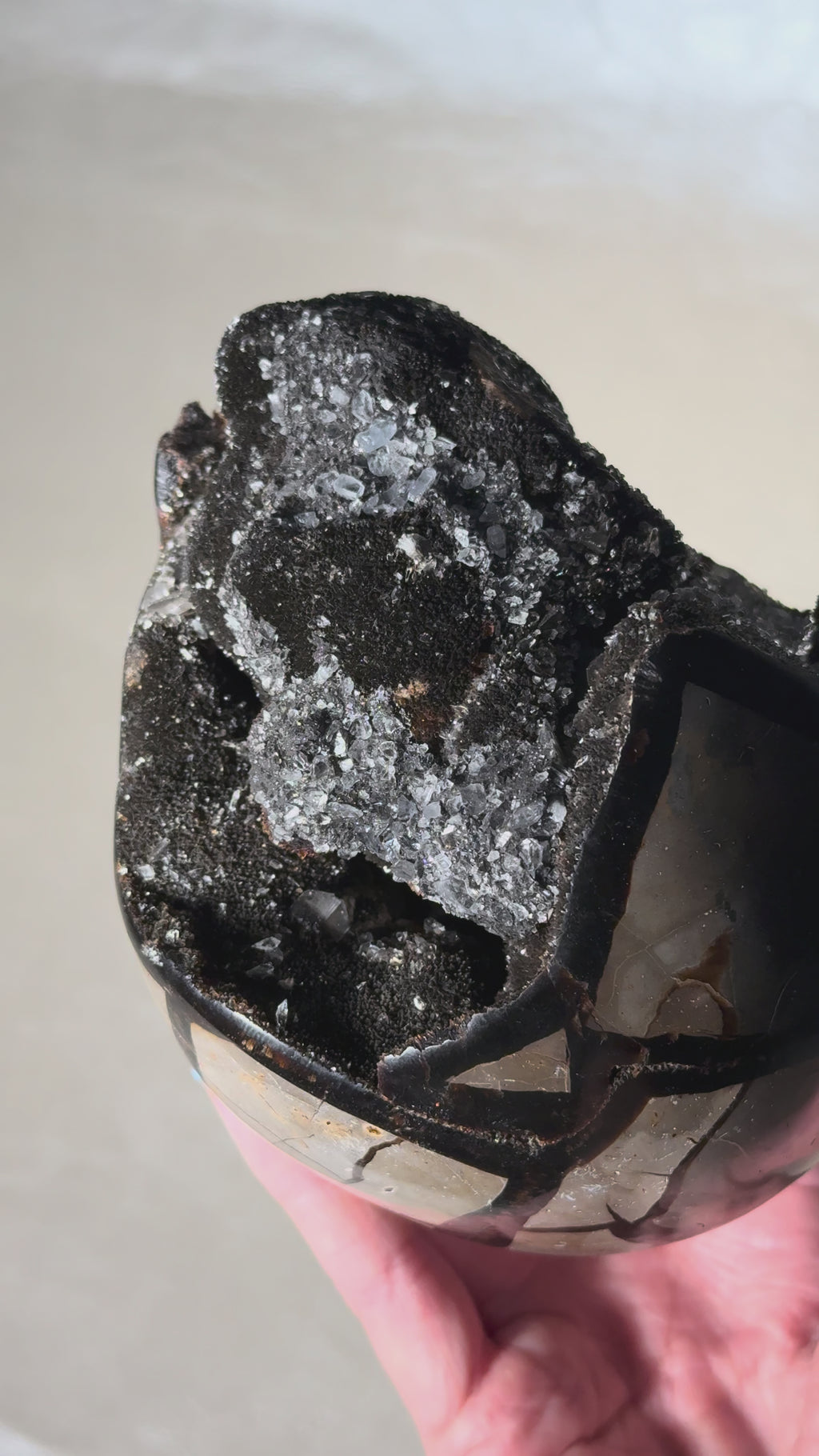 Druzy Septarian Nodule Medium