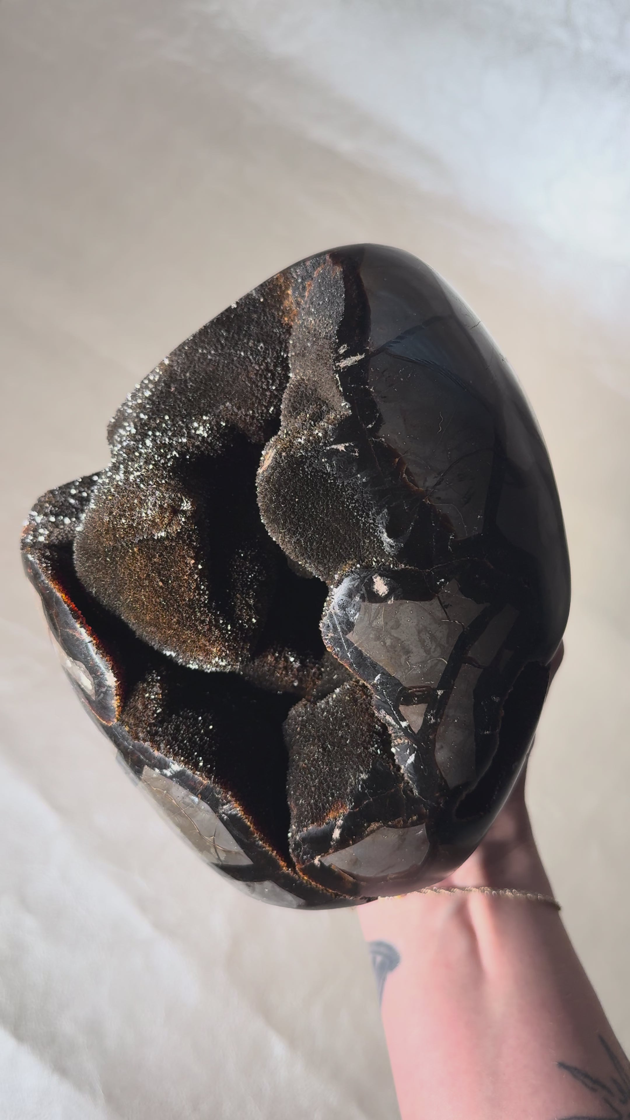 Druzy Septarian Nodule Large